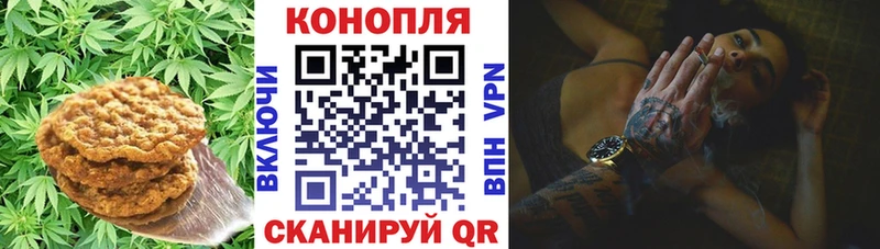 Печенье с ТГК конопля  что такое наркотик  Елизаветинская 