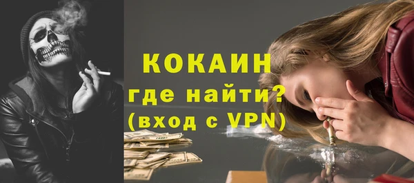 винт Абаза