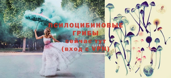 винт Абаза