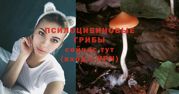 винт Абаза