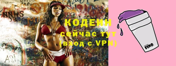 винт Абаза