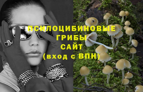 винт Абаза