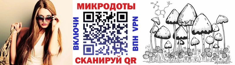 Галлюциногенные грибы мухоморы  Елизаветинская 
